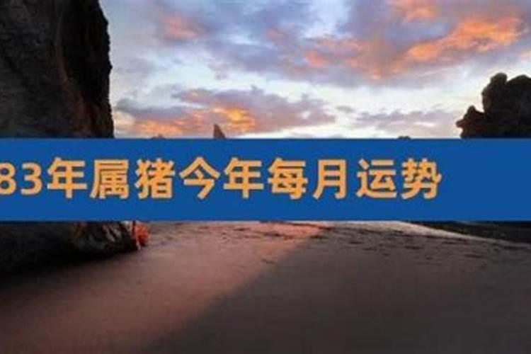 83年生肖猪2026年运程婚姻