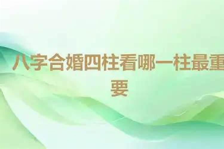 八字合婚看哪一柱？