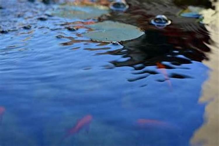 梦见渠水满满的流什么意思？