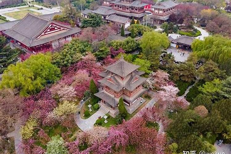 清明节去哪玩合适西安周边？