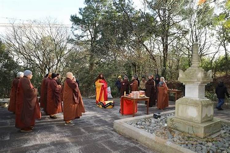 冬至祭祖人民网