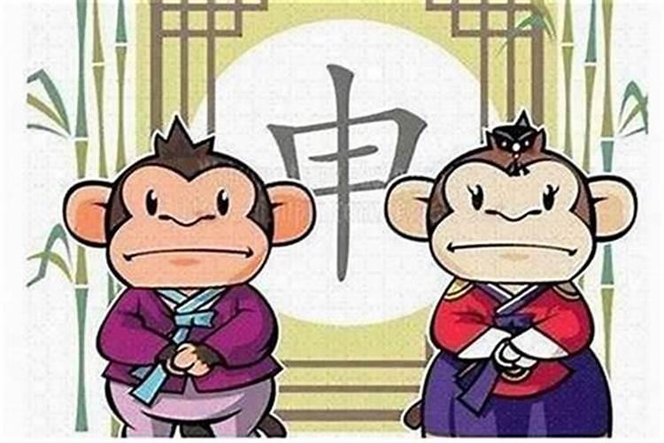 猴与猴的婚姻关系如何？