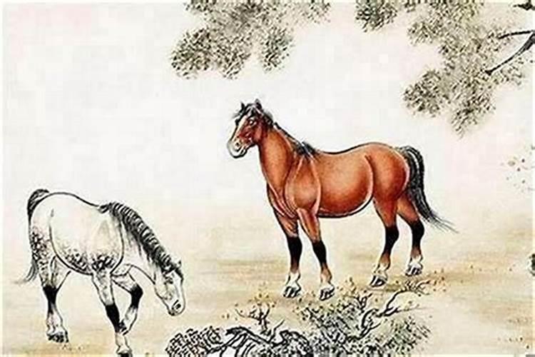属相婚配马配马怎样？