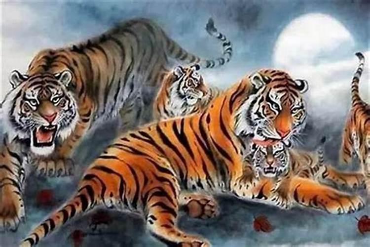 1986属老虎的本命年是哪一年？