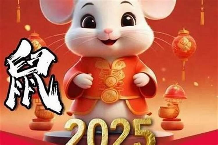 97年鼠人2026年运势