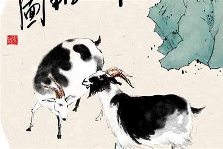 属羊破太岁带什么东西？