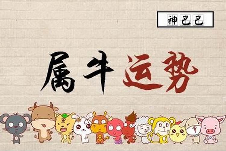 属牛7月份运程如何？