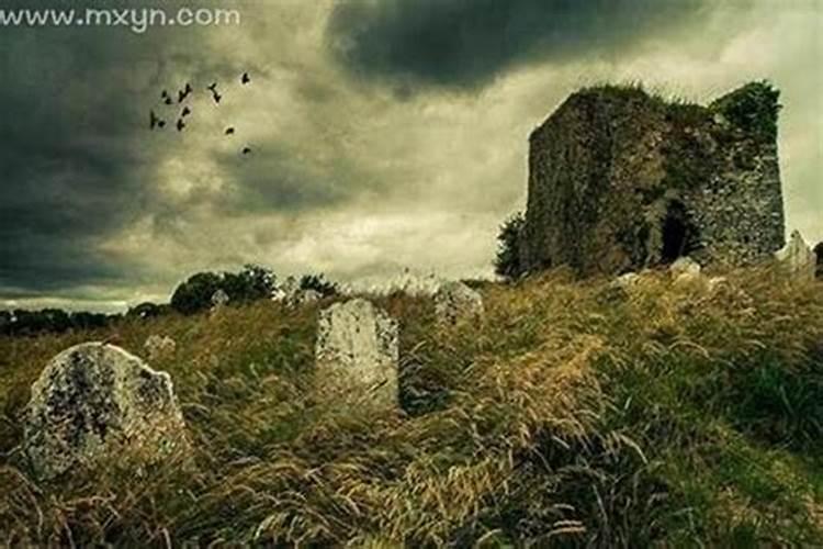 梦见坟地上有苹果什么意思？