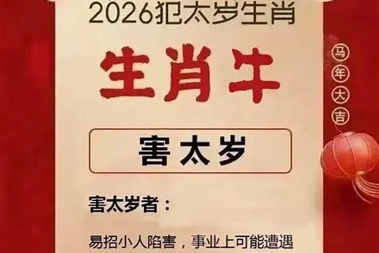 哪些八字冲2026太岁？