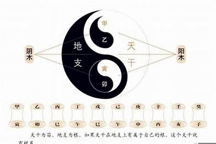 配婚以八字里哪柱为准？