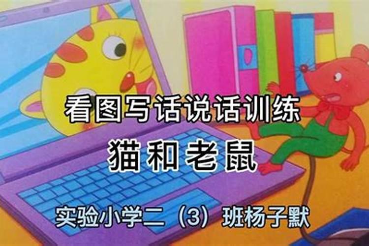 梦到大老鼠特别大会说话