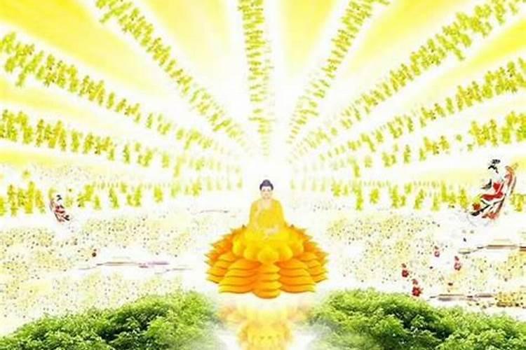 意外死亡超度好还是助念好？