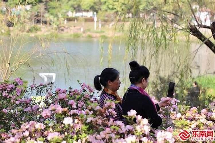 福州清明节习俗