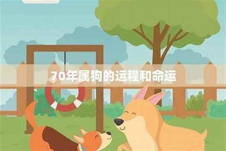 70年出生属狗女2026年运程