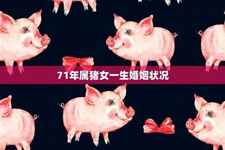 71年猪女一生婚姻运程