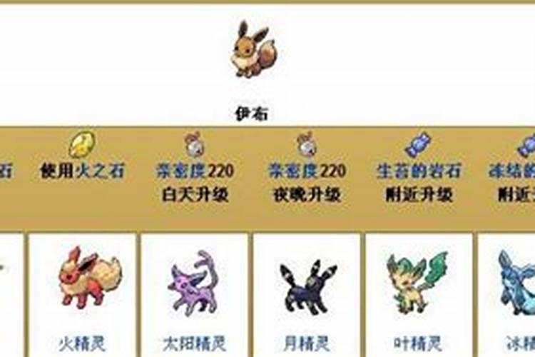 小年兽几级进化？