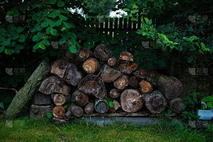 梦见房子里有很多木头？