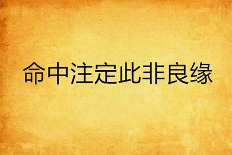 巴西姻缘和合盘去哪买？