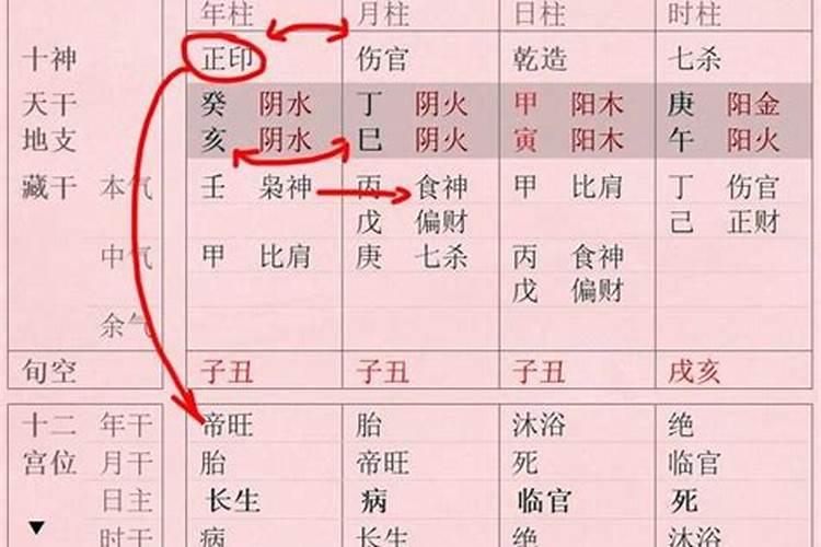什么类型的八字喜食伤运？