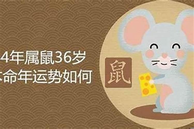 属鼠本命年忌什么生肖？