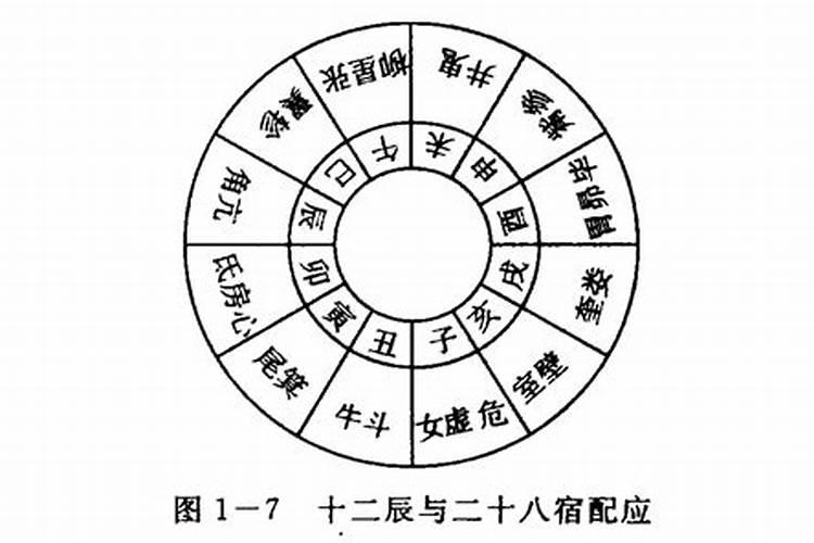 十月初一的干支是什么命？