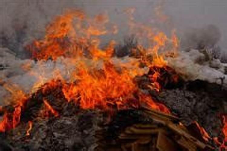 梦见坟山上着火了是什么征兆？