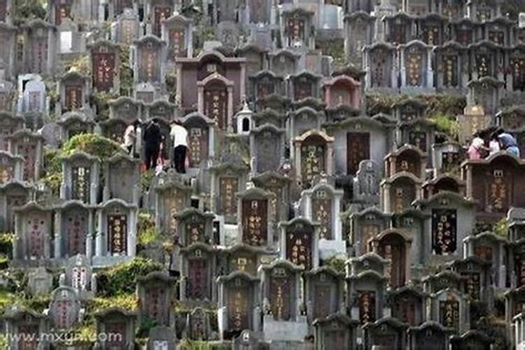 做梦梦到墓地什么预兆？