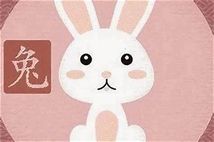 男属兔与女属合婚吗？