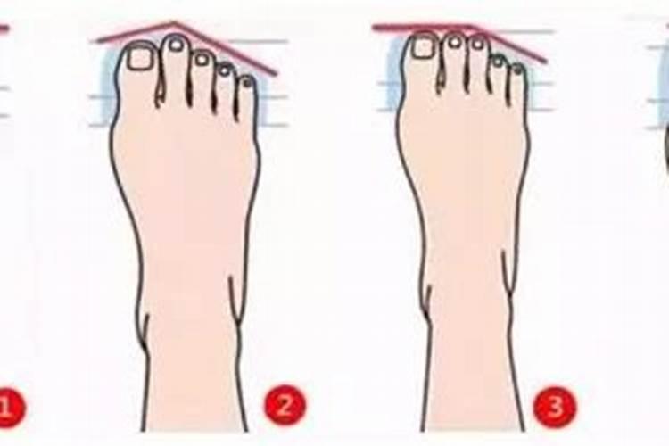 脚短小的女人运势如何？