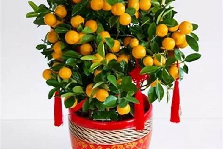 怎样发财最快最简单？