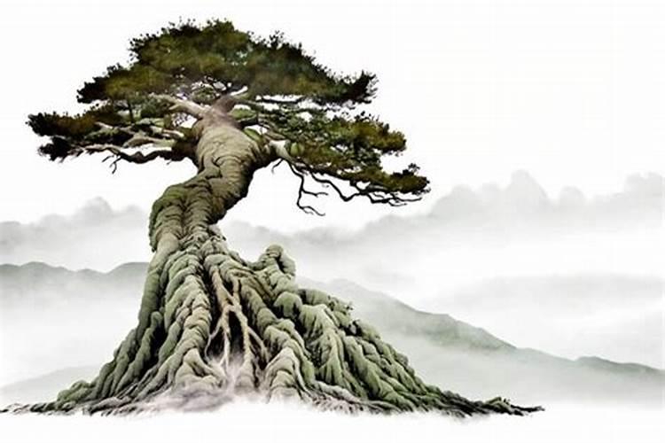 合八字白头到老的多吗？