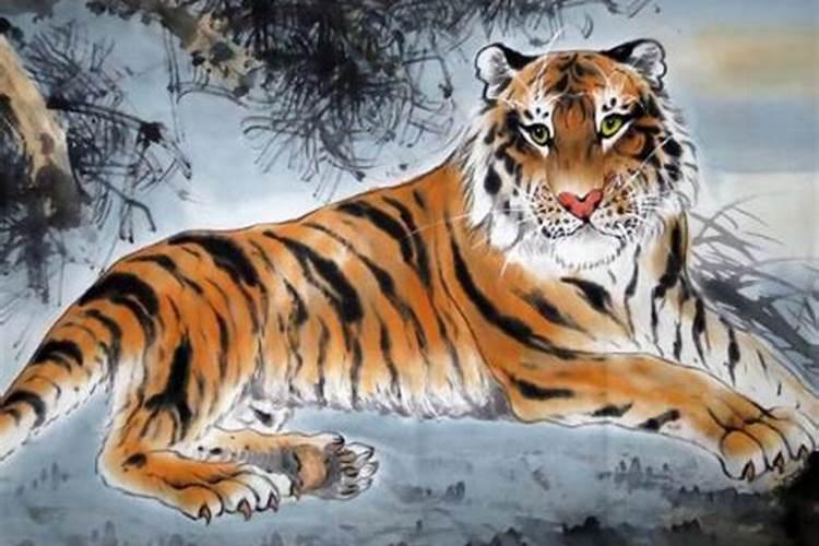 74年属虎本命年怎么样好不好？