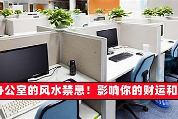 工作不顺利风水植物