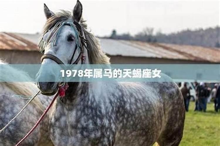 1978年出生的人运程