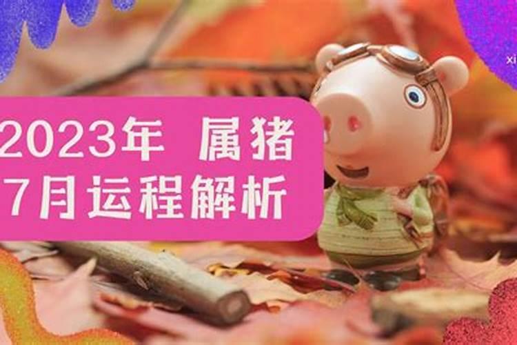 属猪阳历七月运势如何？