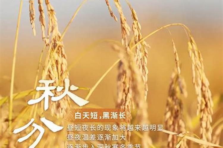 秋分天气要注意