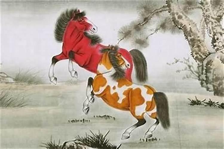 属马人今年运势