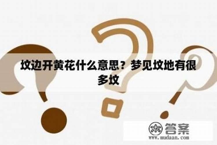 梦见坟地开了很多花是什么意思？