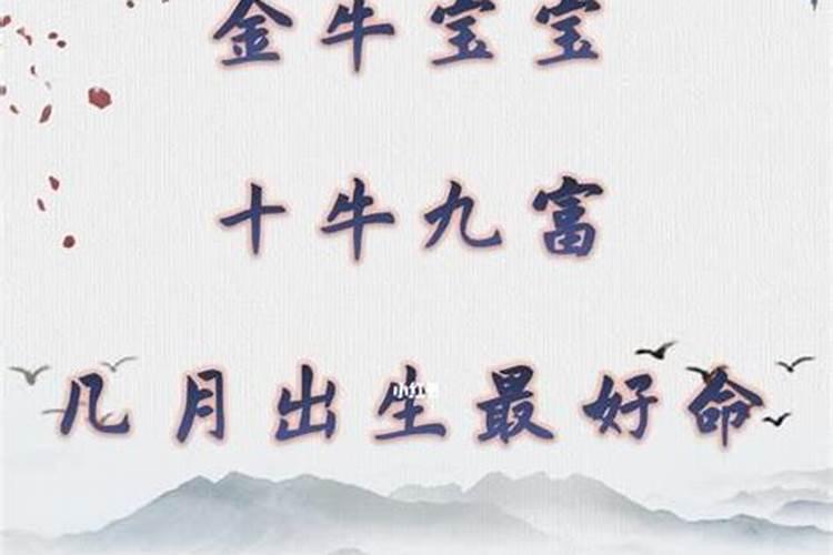 立冬出生的金牛宝宝好吗？