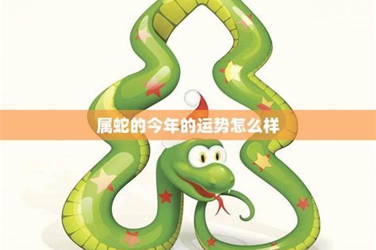 属蛇今年运势怎么样？