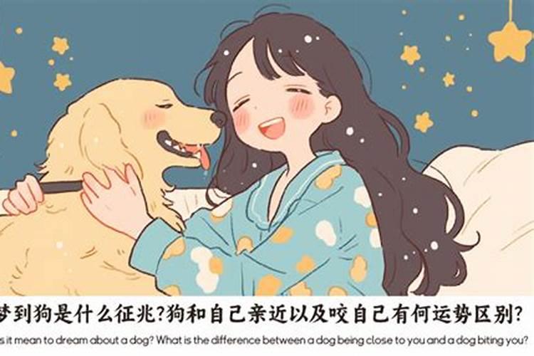 做梦梦到狗咬什么意思？