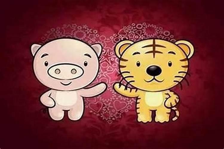 女虎男龙属相婚配好吗？