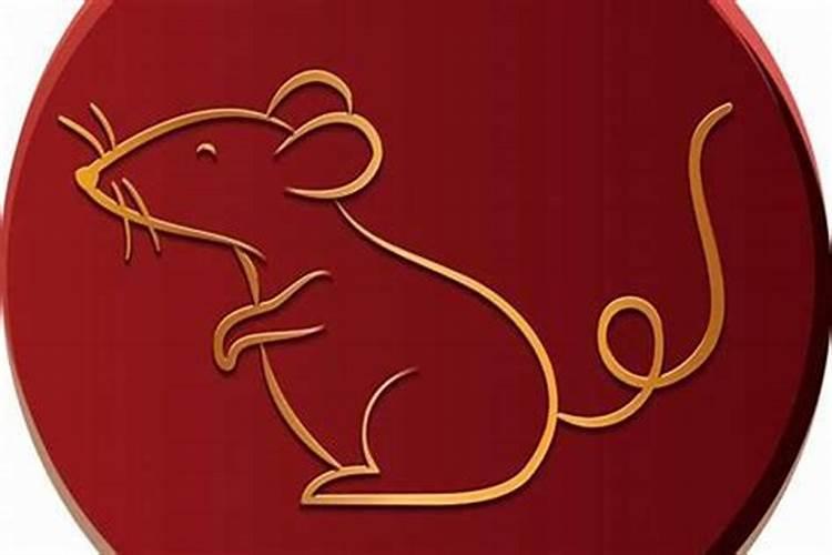 鼠女和龙女八字合吗？