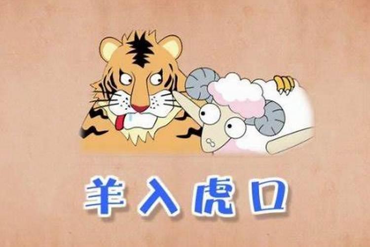 虎男和女羊合婚吗？