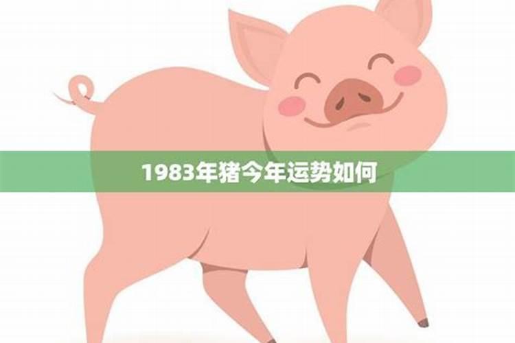 1983年生肖猪在2026年运势如何？