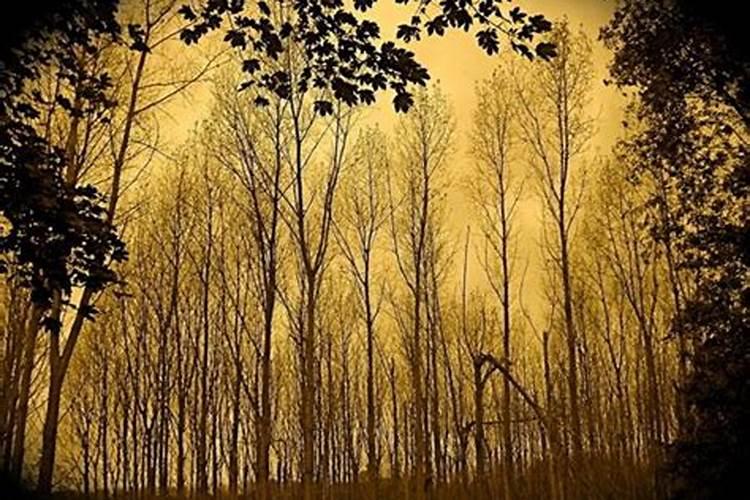 超度堕胎婴是真的吗？