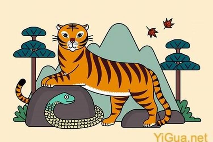 属虎的人和属蛇的人合婚吗？