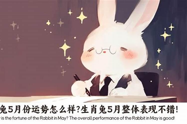 属兔男五月运势怎么样？