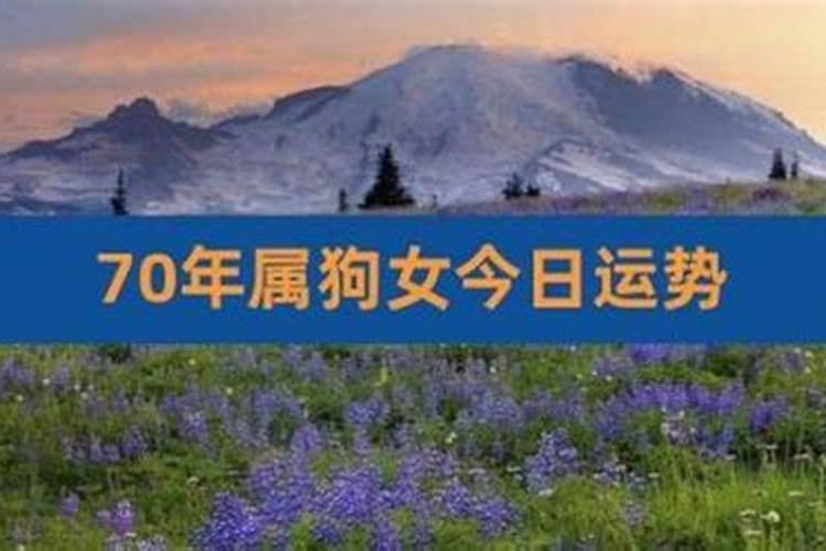 1970生属狗女2026年运势