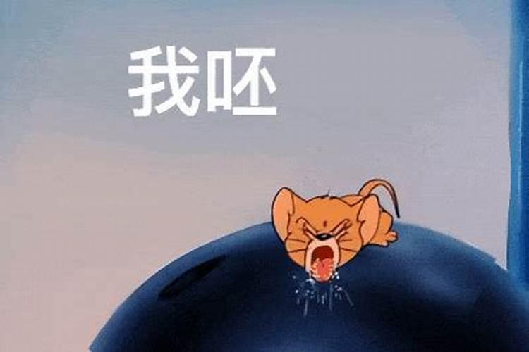 梦见老鼠向我吐口水